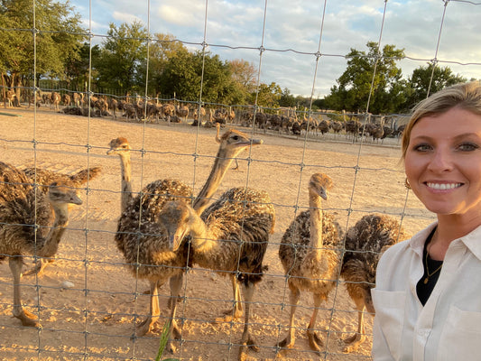 The Future of Farming: Why Ostrich Leads the Way