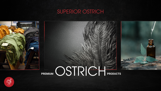 SUPERIOR OSTRICH: A DESTINATION FOR PREMIUM OSTRICH PRODUCTS