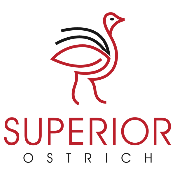 Superior Ostrich